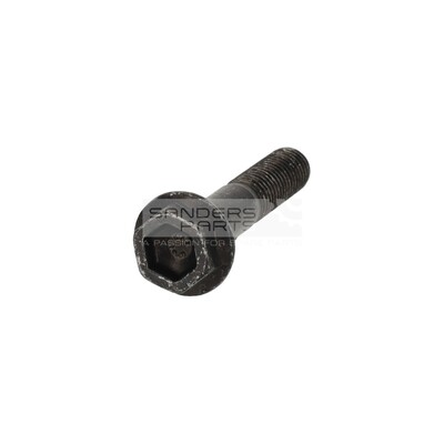 ZESKANTBORGBOUT M10X55-10.9-MA